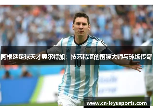 阿根廷足球天才奥尔特加：技艺精湛的前腰大师与球场传奇