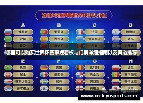 哪里可以购买世界杯赛事观看权与门票详细指南以及渠道推荐