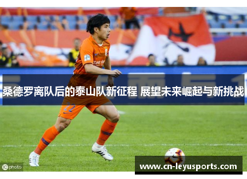 桑德罗离队后的泰山队新征程 展望未来崛起与新挑战