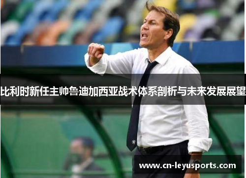 比利时新任主帅鲁迪加西亚战术体系剖析与未来发展展望