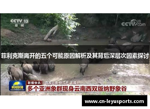 菲利克斯离开的五个可能原因解析及其背后深层次因素探讨