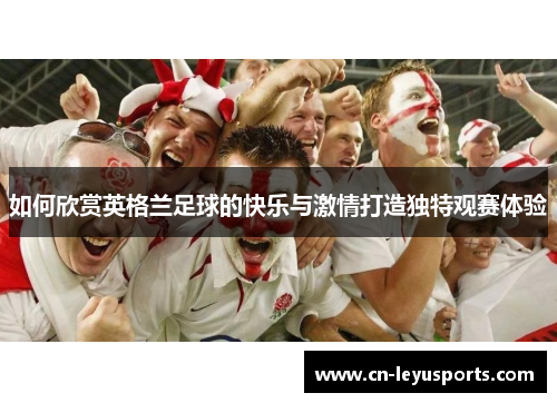 如何欣赏英格兰足球的快乐与激情打造独特观赛体验