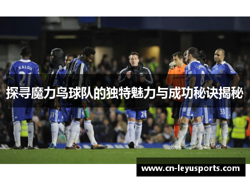 探寻魔力鸟球队的独特魅力与成功秘诀揭秘