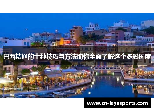 巴西精通的十种技巧与方法助你全面了解这个多彩国度