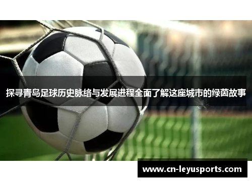 探寻青岛足球历史脉络与发展进程全面了解这座城市的绿茵故事